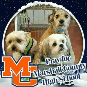 Meet your Posher, Maxine